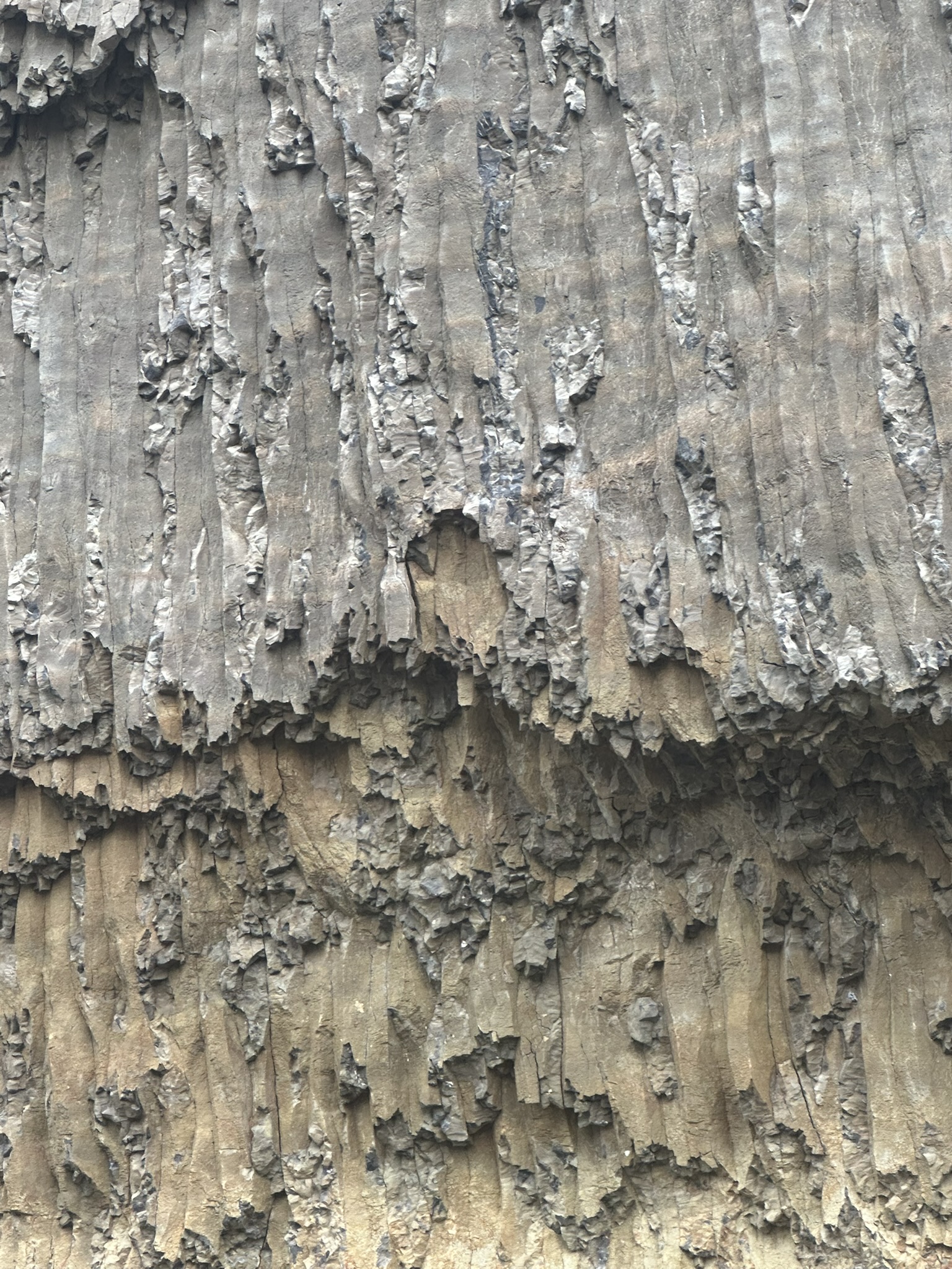 Yellowstone And Grand Teton National Parks - Image 797